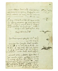 Codex über den Vogelflug, Folio 15 recto